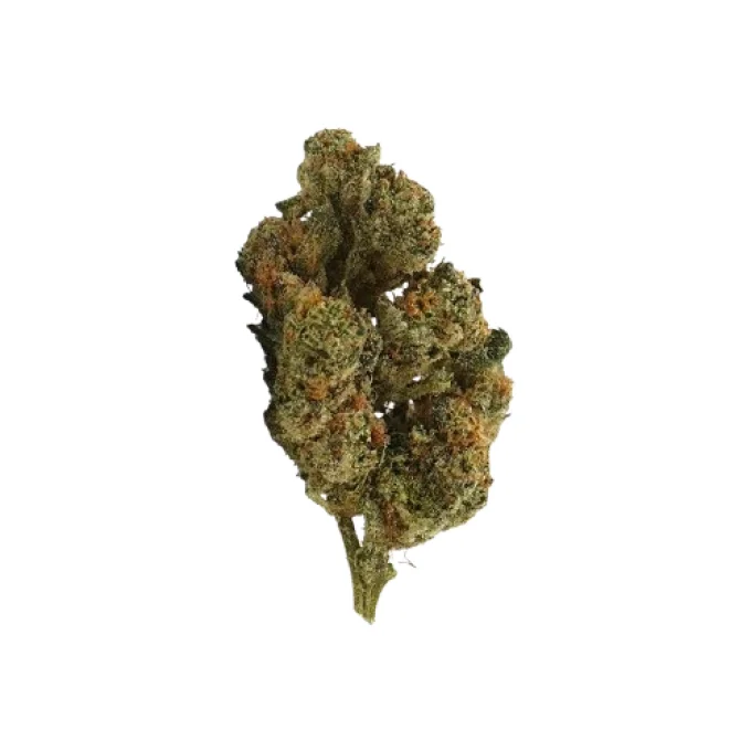 PLUTONIUM 2 G GREENHOUSE (à partir de 4,32€/gr)