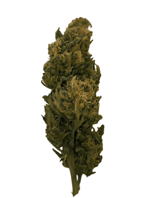 LEMON HAZE 2 G GREENHOUSE (à partir de 3,90€/gr)