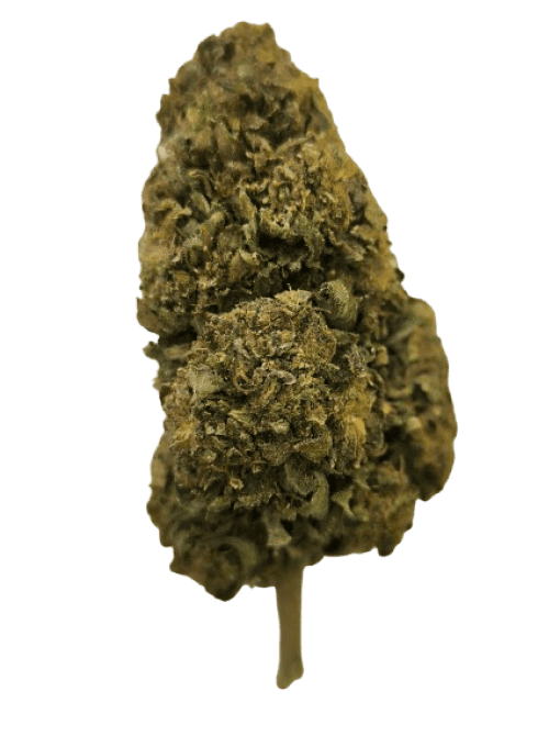 ORANGE BUD 2 G OUTDOOR (à partir de 3,90€/gr)