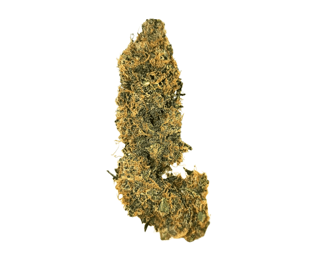 NEW AMSTERDAM 2 G INDOOR